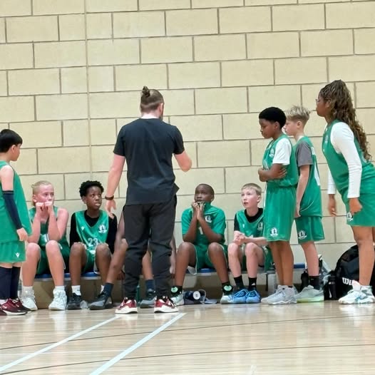 Governance and board work